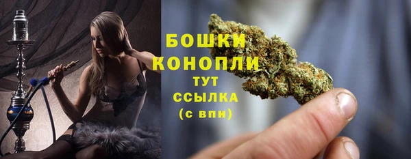 метадон Гусиноозёрск