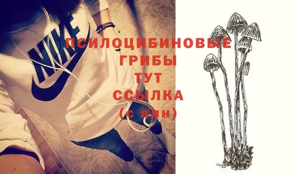 ешки Дмитров