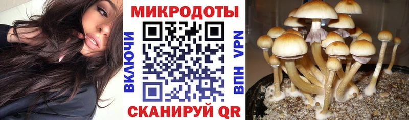 хочу наркоту  Серов  Галлюциногенные грибы MAGIC MUSHROOMS 